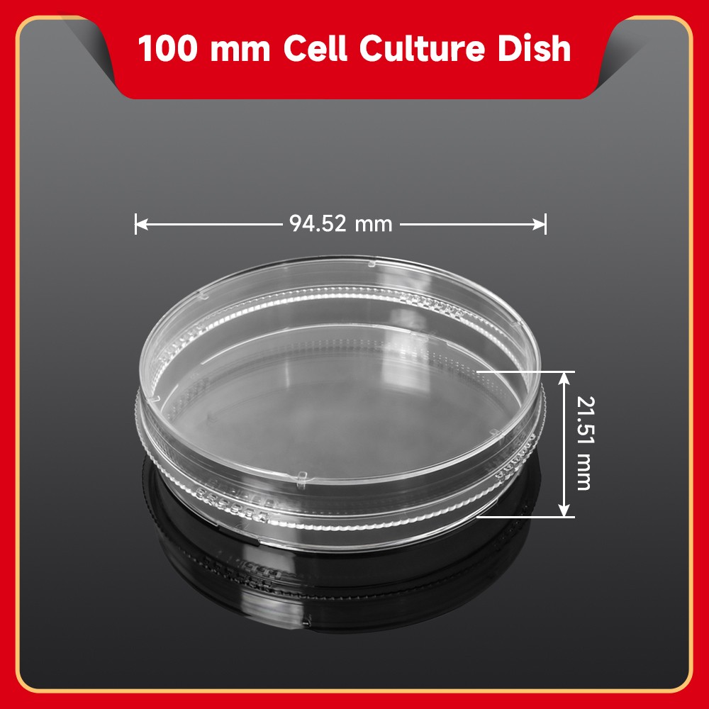 100mm Cell Culture Dish(TC treated, Sterile)