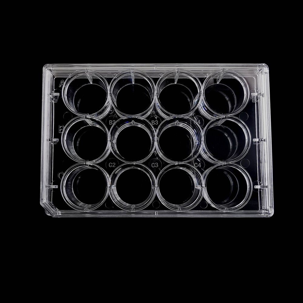12-well plate (TC treated, Sterile)