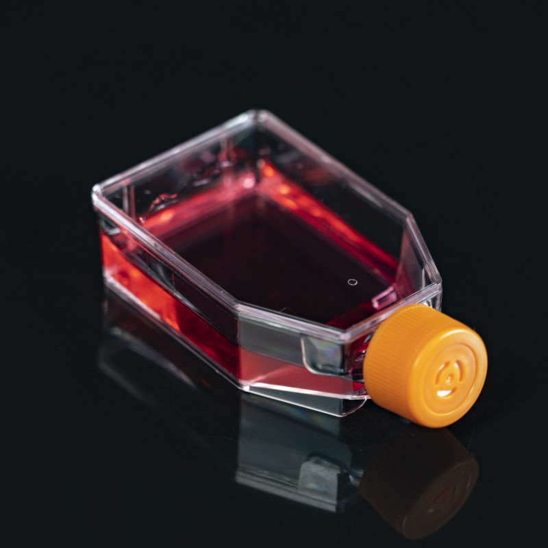 25cm² Cell Culture Flask, TC treated，vent cap