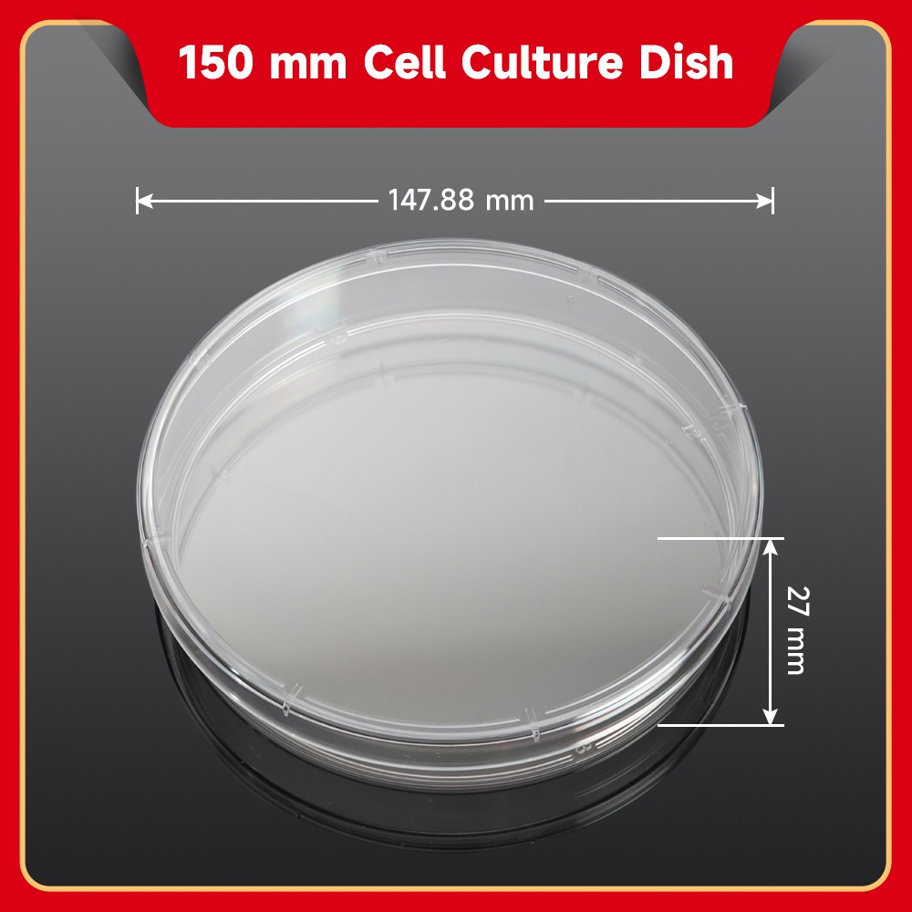 150mm Cell Culture Dish(TC treated, Sterile)