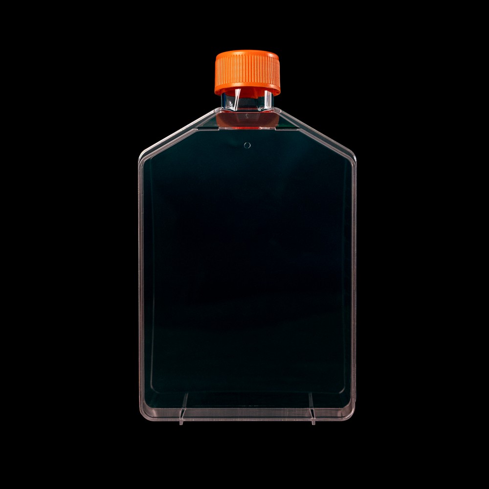 Cell Culture Flask-T175 (Vented, TC Treated, Individually Wrapped)
